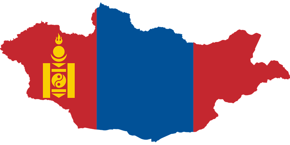 2017 제5대 몽골 대통령 선거 과정 및 결과 분석
