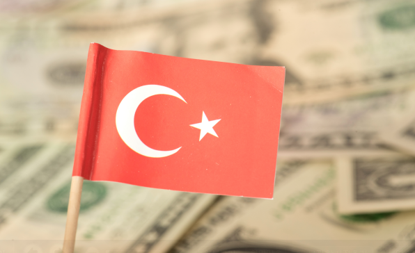 [이슈트렌드] 터키, 인플레이션 36% 돌파... 새해 물가는 더욱 오를 전망